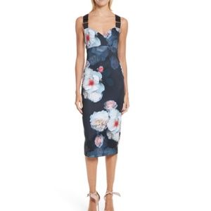 Ted Baker Teeki Chelsea Body Con Dress Size 0